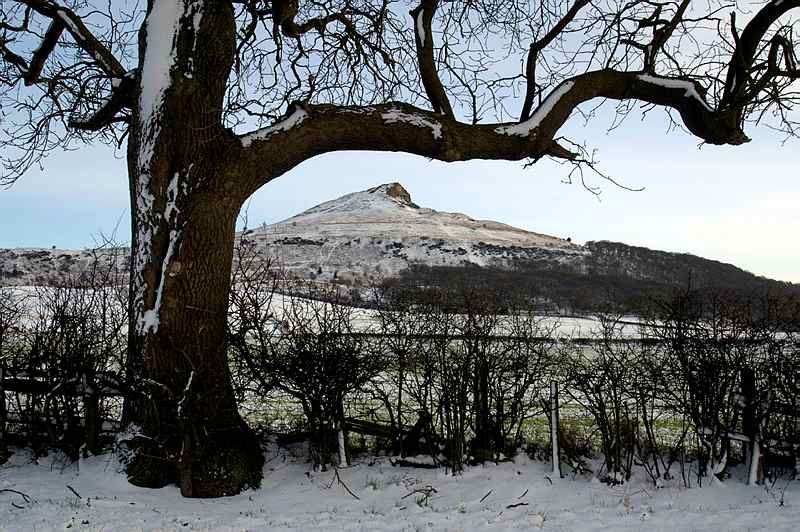 There's still time to apply for a Winter University course.

These short courses are ideal for anyone thinking of a return to education, changing career or enjoy the satisfaction of learning.

Find out more and apply here 👉 bit.ly/3Goi2oQ