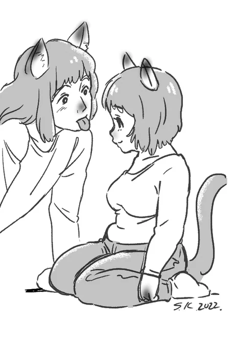 奥さん猫、我が家に来た頃、産後ちょっとぽっちゃりしてました。 