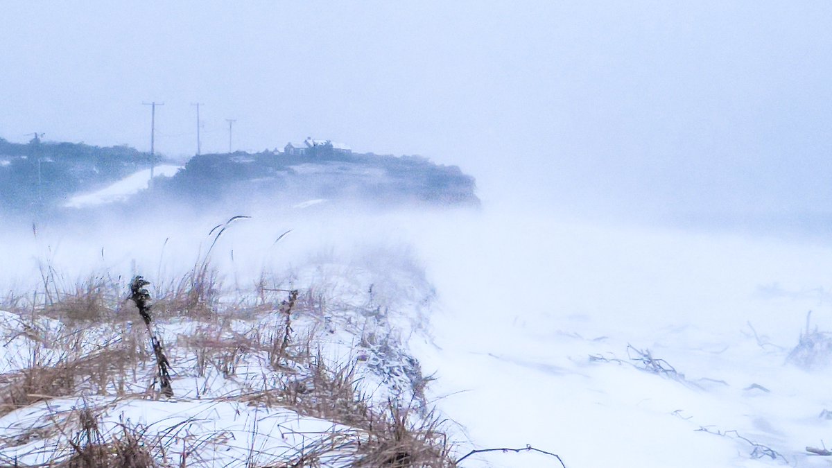 dariusaniunas's tweet image. 🥶BRRRR!!!🥶
Good Frigid Tuesday morning Cape Cod! Snow on Coast Guard beach this morning. Eastham. #capecod #StormHour