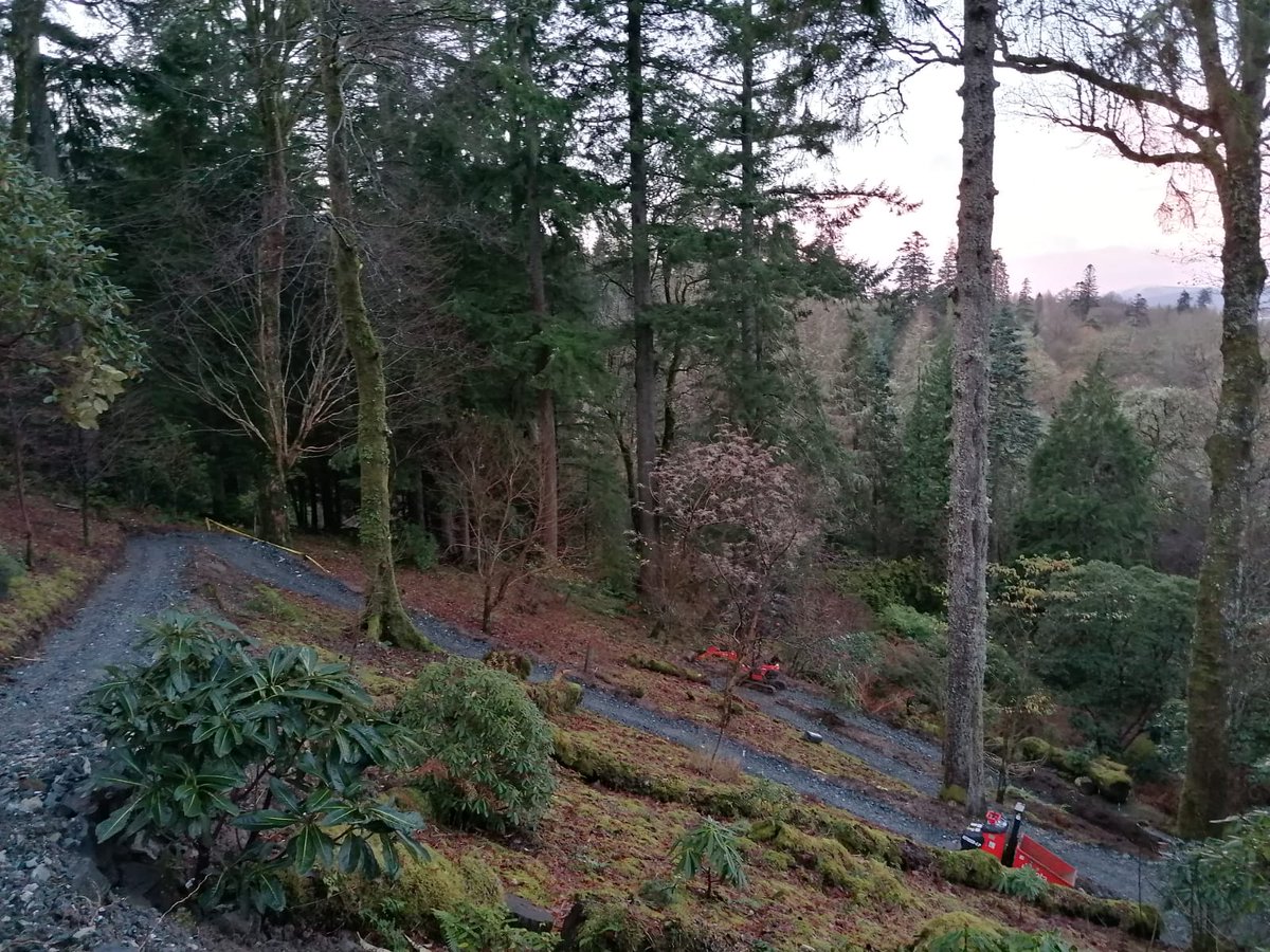 New path almost ready 🤩

Ardkinglas Woodland Garden, open all year round day light hours.