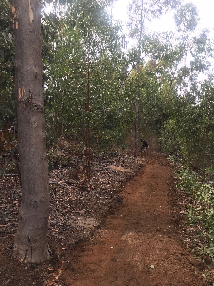 dirtopia tweet media