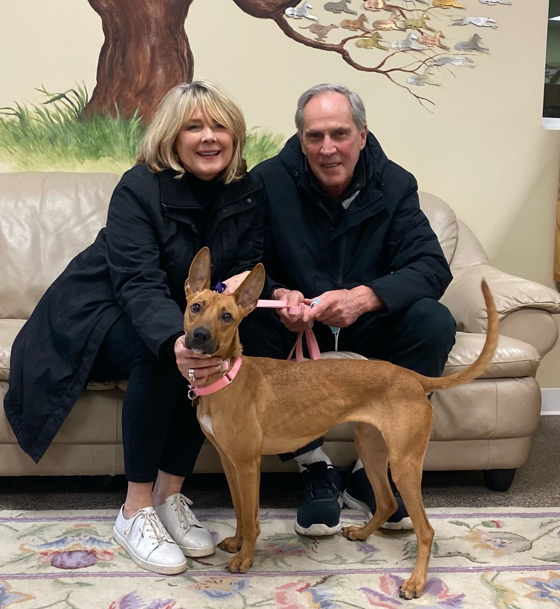 It was a lot of fun yesterday for our volunteers watching Donna Lynn, our last dog from Hawaii, prance and smooze up to her new parents and get adopted.  Here's Donna Lynn (nka Jenny) with her new parents, Shari & Alex.  Congrats and sweet life little Jenny! https://t.co/jsnZ3kfbwO