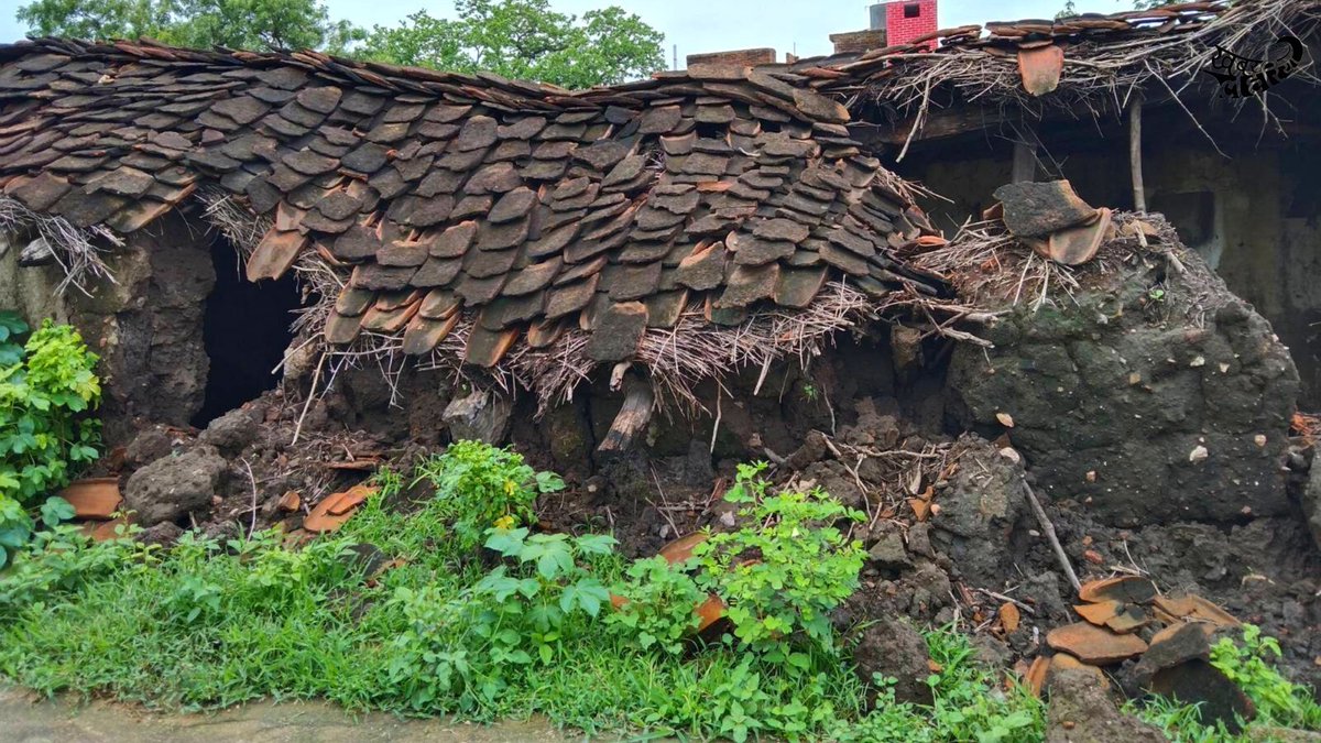 KhabarLahariya's tweet photo. Chhatarpur, MP: Unseasonal heavy rain and hailstorm destroyed houses of residents in the village. 

#khabarlahariya #heavyrainfall #hailstorm #housescollapsed https://t.co/yw2EkNAFHV