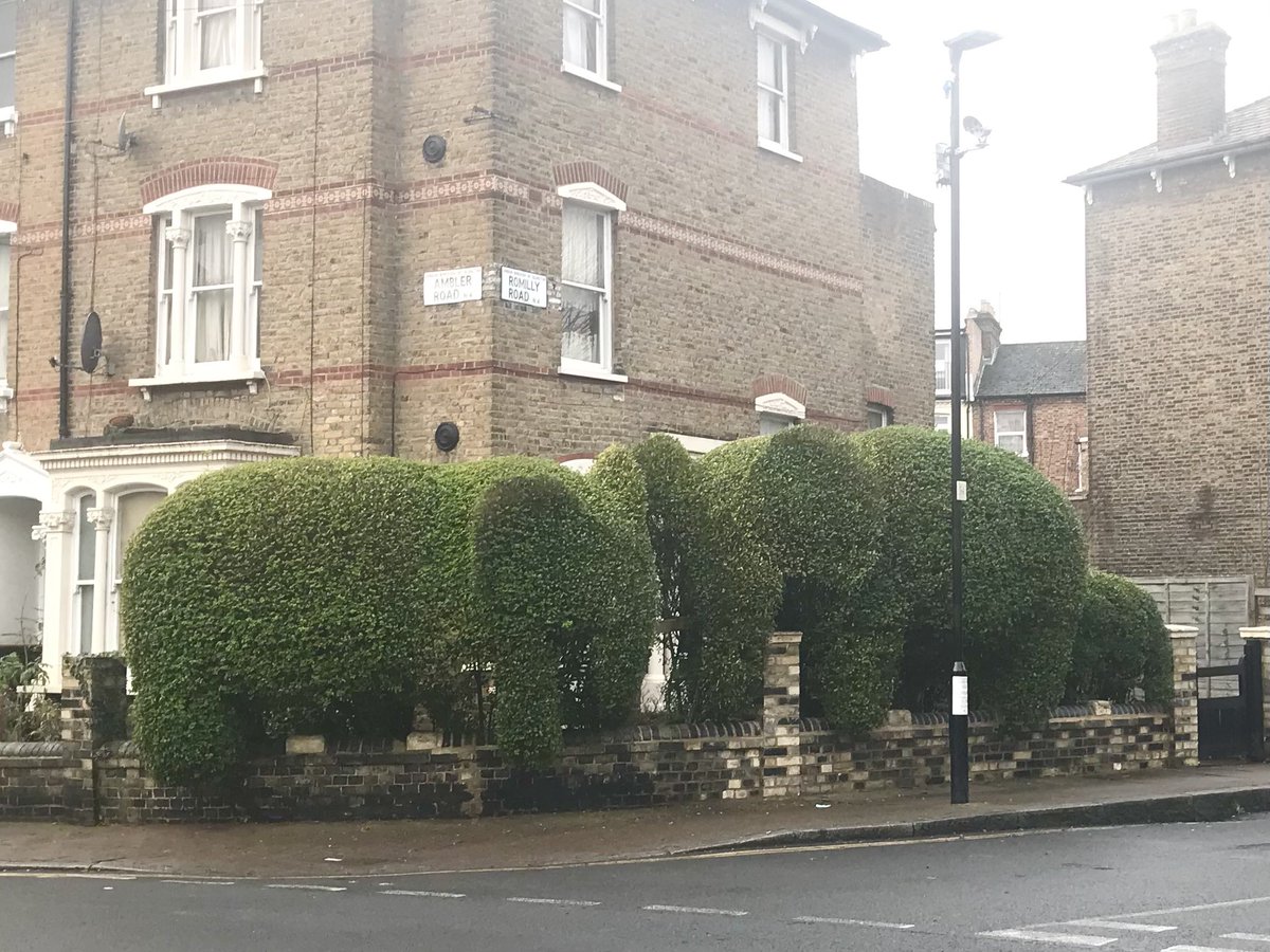 The Finsbury Park elephants looking good today after having another trim