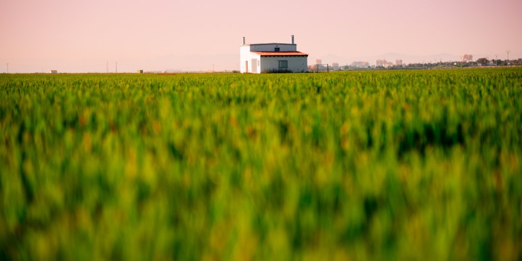 c_valenciana's tweet photo. El agroturismo en la Comunitat Valenciana es sinónimo de sol, tierra, tradiciones y deliciosos productos llenos de sabor. ¡Descubre más aquí! 👉https://t.co/G47byk4pZz #MediterráneoEnVivo https://t.co/Fg1HHsGV5v