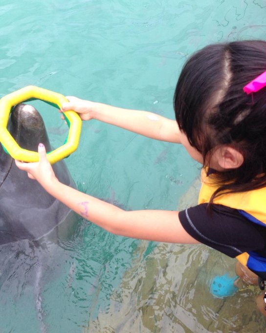 Twitterのコスプレ画像14