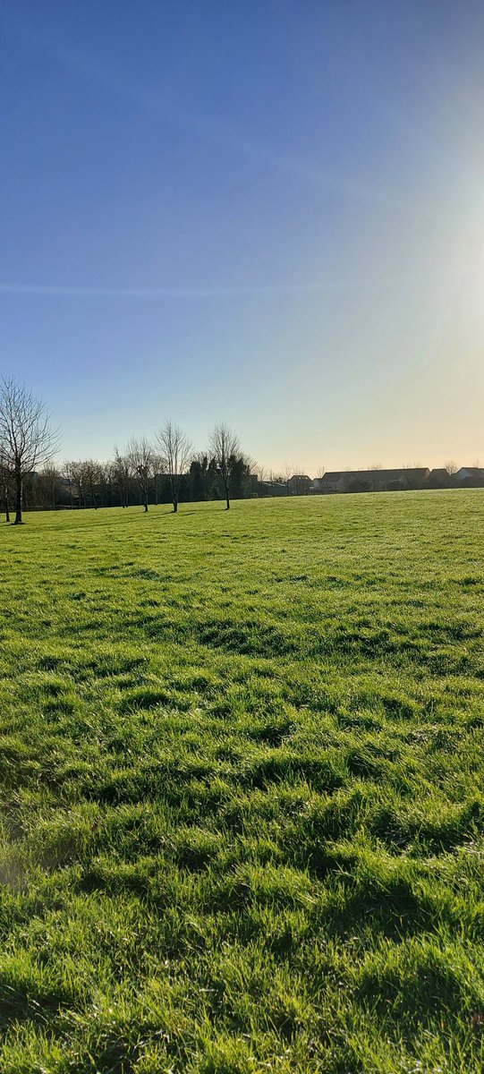 Donna Spratt tweet media