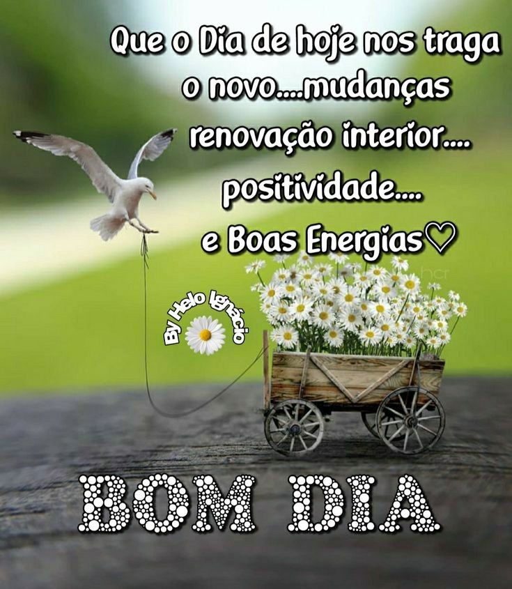 <a href="/moisesmeireles1/">moises meireles</a> <a href="/jjcfsjo/">Jjcfsjô Brasil acima de tudo e Deus acima de todos</a> <a href="/felipe4710/">Felipe Silva #AME/Conhece-te, aceita-te, supera-te</a> <a href="/SarahCFrio/">Sarah 💙🦋💐</a> <a href="/allobosBr/">🇧🇷 αℓℓѳɓѳઽ β૨' #AME 🇧🇷</a> <a href="/PSeabra52/">Parrot seabra52</a> @maria_gcia <a href="/Loredana1237/">🇧🇷Loredana 🇧🇷 #AME💖</a> <a href="/ovasco71/">oscar v.de almeida</a> <a href="/LuizJos88501257/">Luiz Jose</a> <a href="/marcao1959/">MM59</a> <a href="/nzmendes1/">#Chapeleira🖤💋🎩✡ #LutoPeloBrasil</a> @vpirajucara <a href="/brandao_suzana/">Suzana Brandão</a> <a href="/CarlosF66584630/">Carlos Ferreira</a> <a href="/lluadecristal31/">lu🌙🇧🇷🇮🇱🇺🇸💛💚</a> <a href="/EstrelaRio5/">Estrella Rio @rio_estrela</a> <a href="/YoshiEdgar/">ED YO 🇧🇷</a> <a href="/cgmariano/">Claudio Mariano</a> <a href="/Sandrotc69/">Sandro Carvalho.</a> <a href="/deborahmrquez1/">db márquez</a> <a href="/pfrancislima/">Palola</a> <a href="/renatarf33/">Renata Ramos 🇧🇷🎸</a> <a href="/fffranciisca/">Fran</a> <a href="/Antonio93653996/">Antonio Reginaldo</a> <a href="/MariaHe07995557/">Maria Helena Reserva 🇧🇷</a> @IzdioOliveira1 <a href="/kiko49ers1/">@kiko49ers</a> <a href="/CentenarioFabio/">DIAS LX 🦊💙</a> <a href="/Elainnefaria1/">Elainne Faria🇧🇷</a> <a href="/VIVOMUNDODABOLA/">🌎MUNDO DA B⚽LA</a> <a href="/SandraS95448475/">🎀Sandra Soares🎀 🇧🇷🇮🇱</a> <a href="/ValriaCruz20/">YouTuber Vall C - Fé e Positividades</a> <a href="/Mariane50013469/">marianne Ustra</a> <a href="/CLAUDIASLEITE_/">CLAUDIA LEITE</a> <a href="/cecil_fontes/">Ana Cecília 🇧🇷 #AME 🌻</a> <a href="/DelcilioS/">Delcilio Silva</a> @_Yeshua_7 <a href="/DINAHMRIB1/">dinah m. ribeiro🔰</a> <a href="/MariAna95755090/">Marii Anna</a> <a href="/WendelSodr4/">Wendel Sodré .'.</a> <a href="/jpsanita/">DesejoSanto | José, filho de Maria.</a> <a href="/Mariafe53293056/">Maria fernanda Bolsonaro22</a> <a href="/faria1910/">k 💡🔦</a> <a href="/regina_cypriano/">🇧🇷🇧🇷Regina 2️⃣2️⃣</a> @kel__lopes <a href="/danyelalela/">Danyela.lela</a> <a href="/wsandrasantiago/">Sandra Santiago</a> <a href="/analia_cec/">Ana</a>