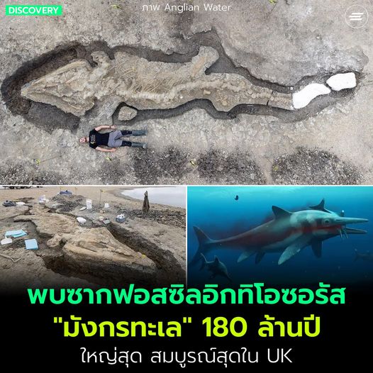 ลองคิดดูนะ ถ้ากูมีชีวิตในยุคดึกดำบรรพ์ แล้วต้องเจอปลาตัวใหญ่เบ่อเริ่มขนาดนี้ กูยอมกลั้นหายใจตัวเอง สู่ขิตไปยังจะดีซะกว่า 5555