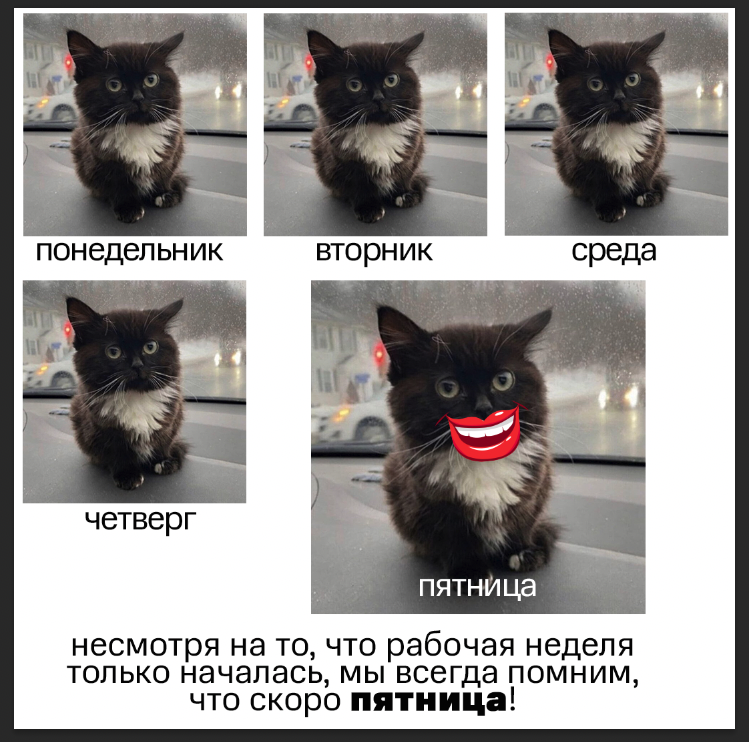 Чмоня лига легенд кот. Коммунистическая партия советского союза — кпсс. Коммунизм будущее человечества. Национал коммунисты. Кот шлепа.