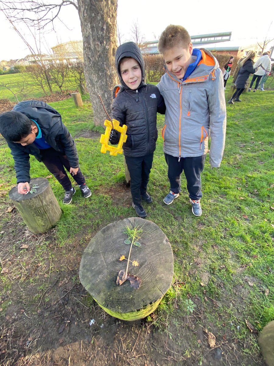 Broomhouse Primary 5 tweet media