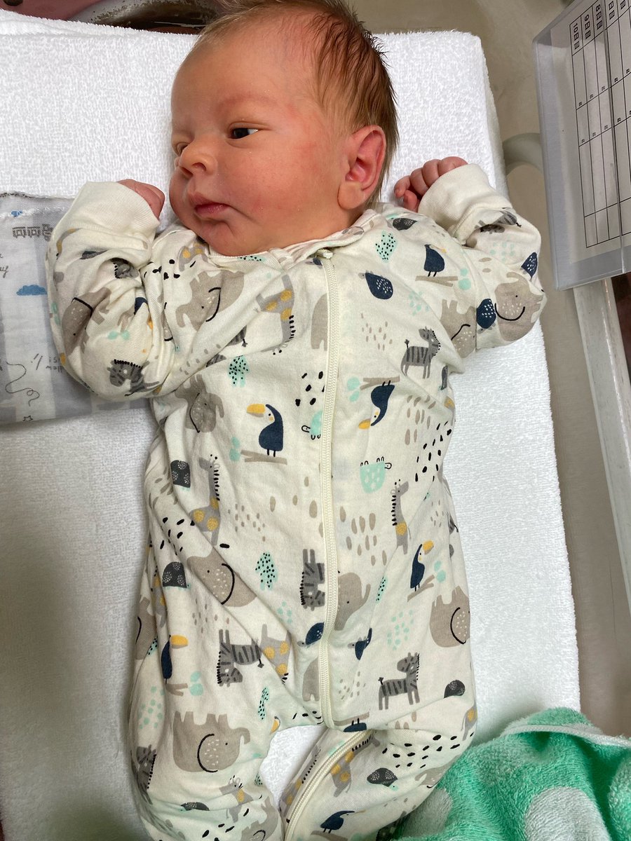 Simon Denis • シモンデニー tweet media