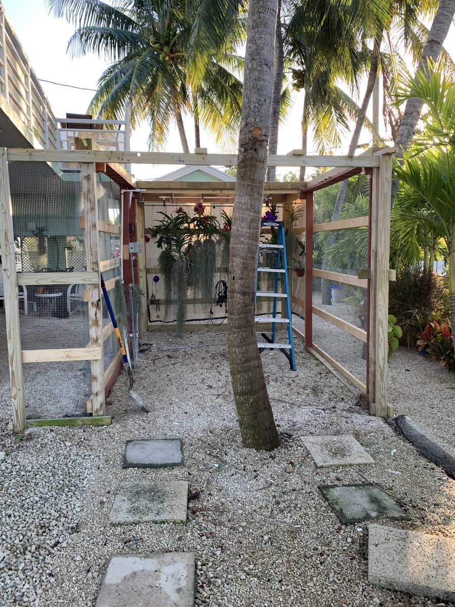 Yesterday the demolition of the old orchid house. By the end of the week we should see a new orchid house complete. #orchids #vanda #orchidsociety #bloomingflowers #orchidhouses #growingorchids