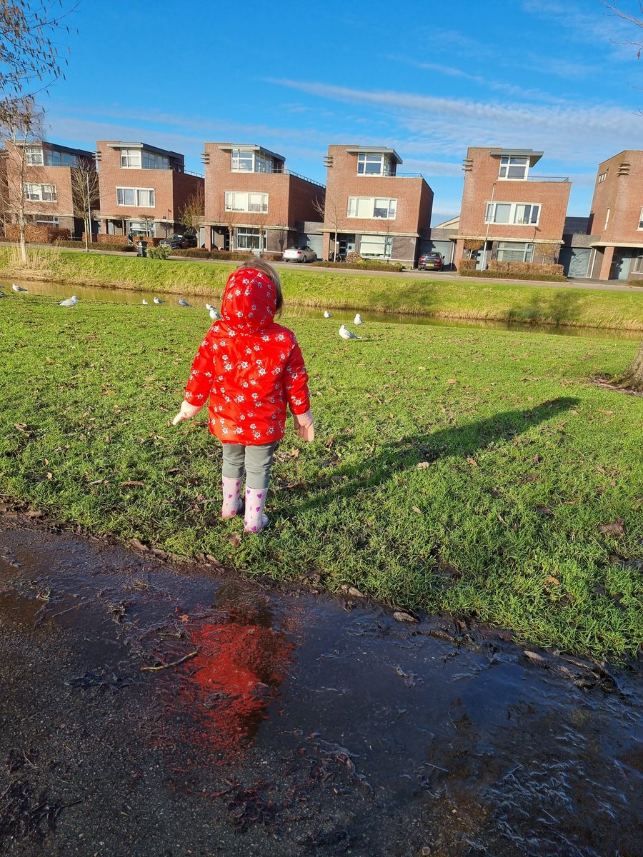 Koud maar lekker wandelweer!