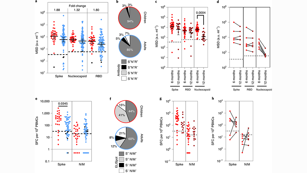 A study in <a href="/NatImmunol/">Nature Immunology</a> shows that immune responses to SARS-CoV-2 are higher in children, retained for 12 months or longer and can neutralize Alpha, Beta and Delta variants. go.nature.com/3ncWCmS