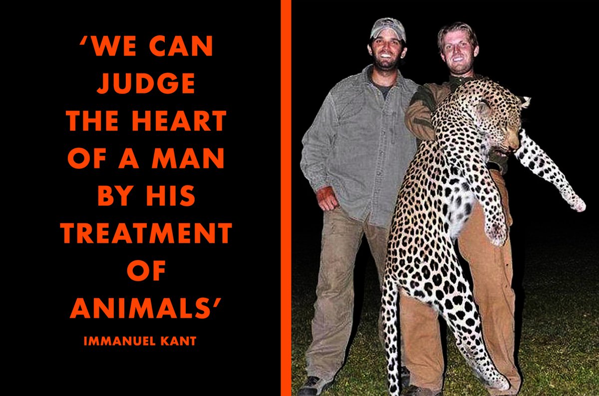 _AnimalAdvocate's tweet photo. Eric Trump and Don Jr kill endangered #wildlife for fun!🤬🐆💔

Sociopaths fashion sociopaths👹

And a society in their image😡💔

#BanTrophyHunting NOW @JoeBiden🙏

@RickyGervais @CBTHunting @PeterEgan6 @Protect_Wldlife @Ivy_MiddletonUK @domdyer70 @GeorgeMonbiot @GretaThunberg https://t.co/hfc7C7NVAj