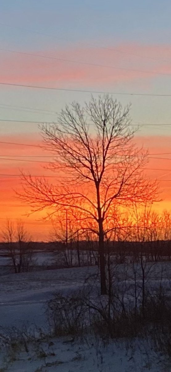 Long3Mo's tweet image. #NewDay #Thankful