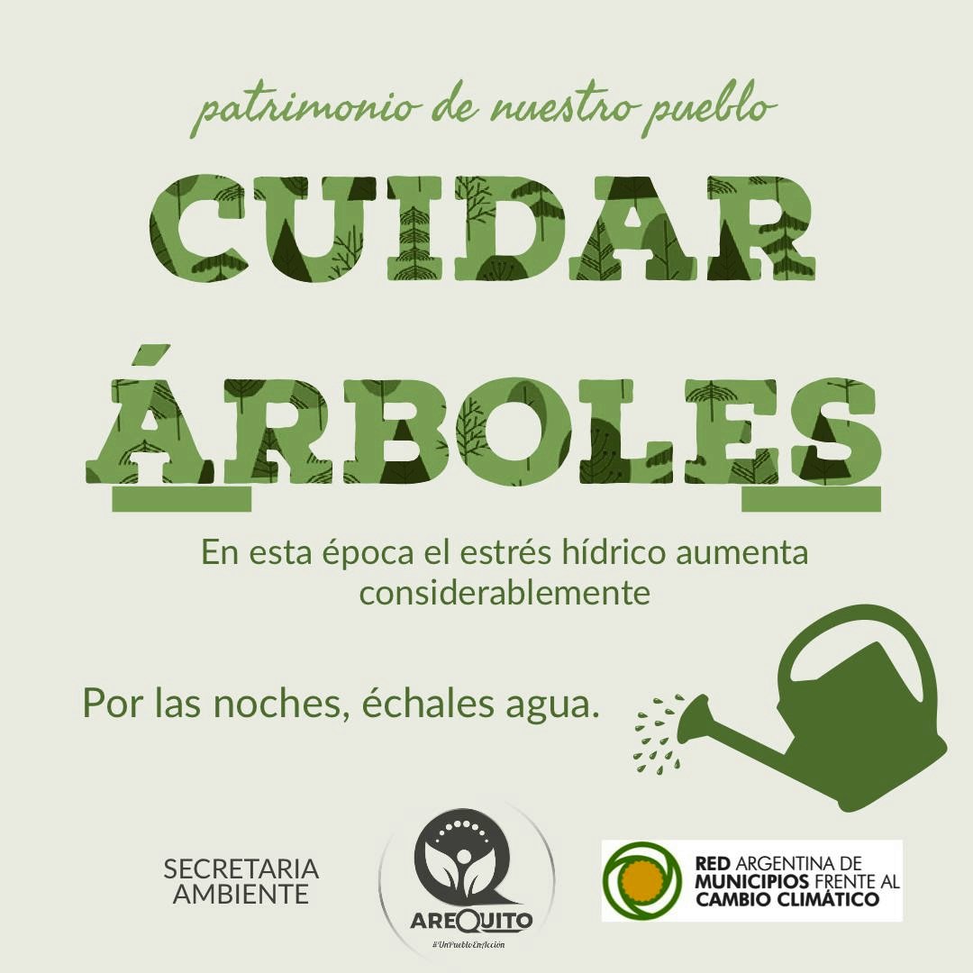 🌳🌴🌲CUIDAR ÁRBOLES, PATRIMONIO DE NUESTRO PUEBLO
💦 Los arequitenses podemos Involucrarnos a través del riego de los árboles de nuestra vereda y nuevas plantaciones cercanas,  preferentemente por la  noche. <a href="/ramcc_ar/">RAMCC</a> <a href="/ComunaArequito/">Comuna de Arequito</a>
#ArbolAmigo
#CreadoresDeCiudadesVerdes #RAMCC