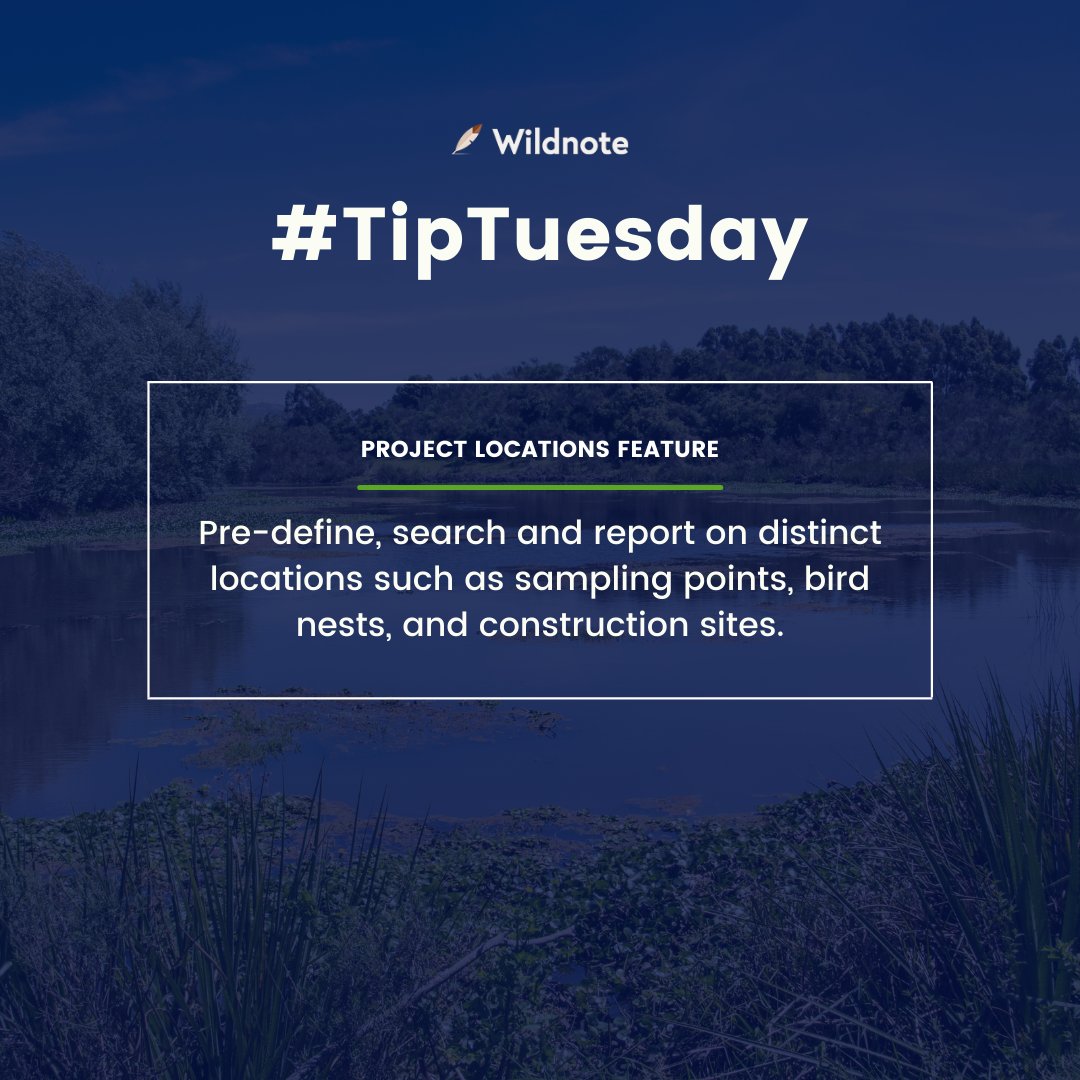 WildnoteApp's tweet image. #GoFastGetItRight with our Project Locations feature while out in the field. 

What to learn more? Sign up for a one-on-one convo with one of our Wildnote specialists who can help you save time and money on your next project. Tap here - hubs.la/Q011M3dr0