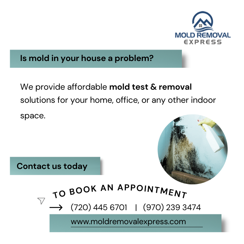 MoldRemovalXP's tweet photo. Is mold in your house a problem?
Mold-covered surfaces pose a real health risk to your family. We provide you with the best service to ensure: 100%  Guaranteed + Affordable Mold Test &amp; Remediation.
#denver #boulder #fortcollins #wyoming #colorado #ColoradoSprings https://t.co/gjnkV9Ef5k