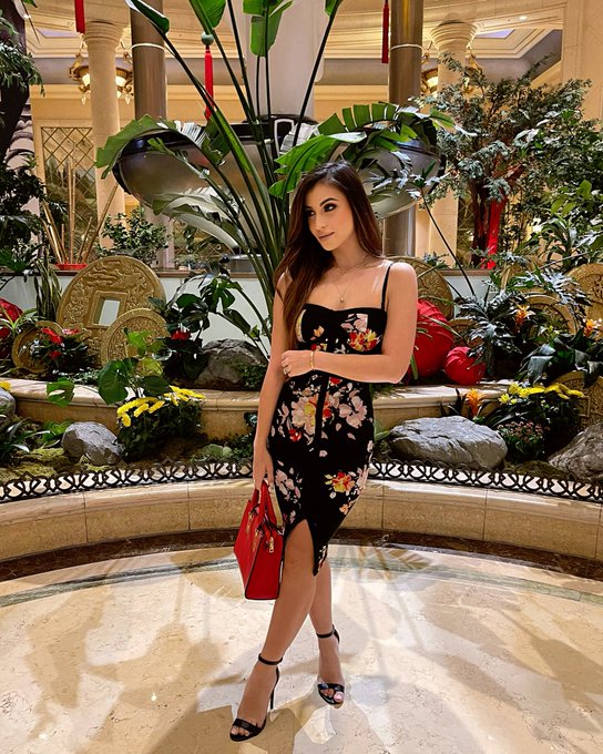 1 pic. felt cute 🥰 https://t.co/ABBppJZX8R