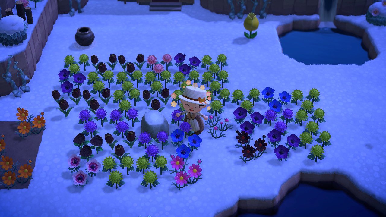 Cleo_acnh on Twitter "Thank you so much NarcissusPan for those flowers! I hope you enjoyed the