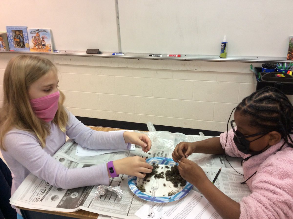 kmcdonaldsclass's tweet photo. Investigating food webs with owl pellets! https://t.co/Mb2dmHribK