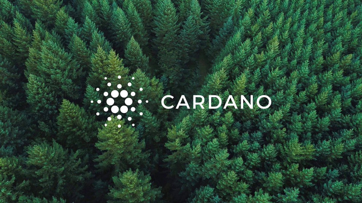 healthy_pockets's tweet image. .#Cardano Continúa su lucha contra la deforestación🌲🌲

El Bosque de Cardano ya está 100% financiado y ha alcanzado su meta de 1 millón de árboles 🥳🥳

Además todos los árboles plantados se registrarán en su #blockchain 😁🙌 #ADA 

Fuente @beincrypto_es