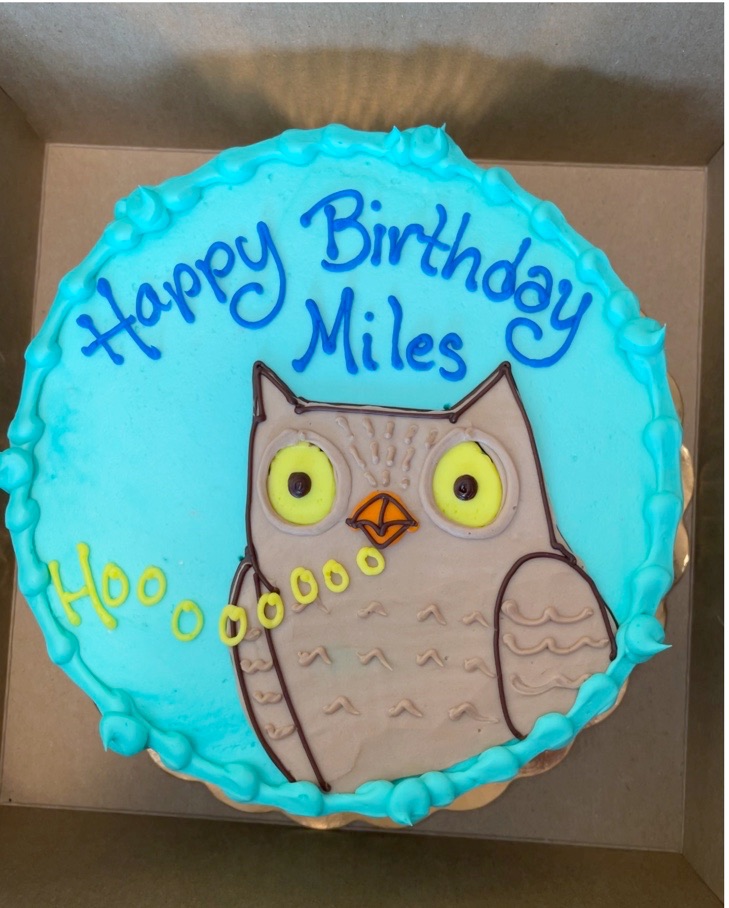 Alexandra Grossi tweet media