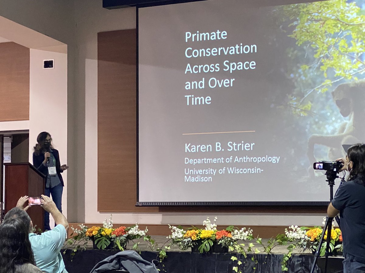 sbprimatologia's tweet photo. Starting the second day at #IPSQuito with the keynote from Karen Strier! @kbsmuriqui 
#primatology #muriqui #ips #quito @IPS_PrimateNews @Primates_Slap https://t.co/lRUYz4DwFP