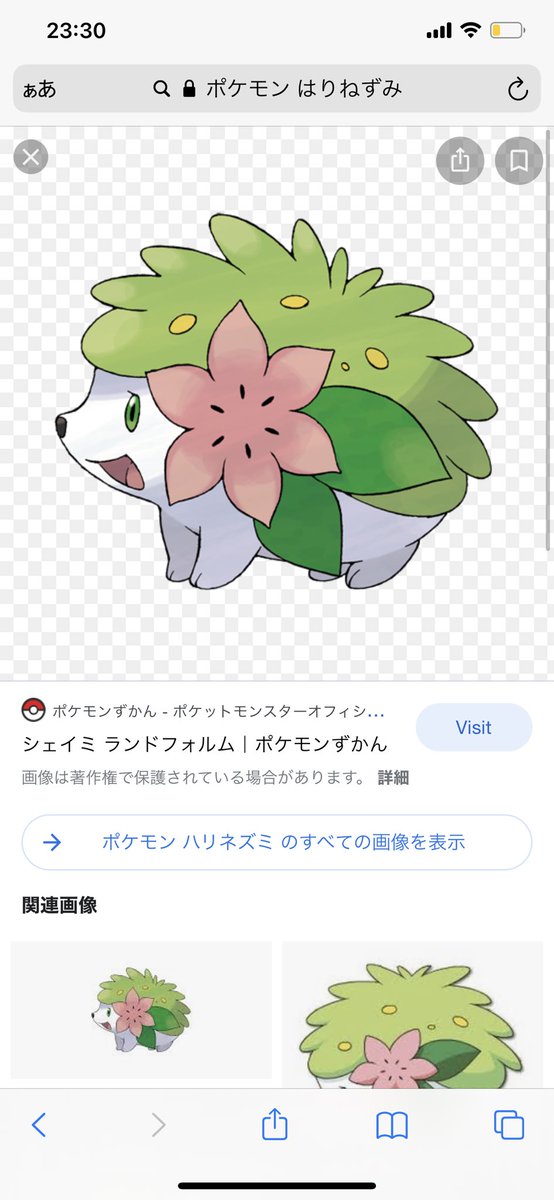 シェイミのtwitterイラスト検索結果