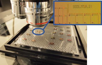 Characterisation of the 1st generation Photonic Integrated Circuits (PICs), fabricated via #MPW services <a href="/epixfab/">ePIXfab</a>, comprising SEER test structures &amp; temperature sensors has been completed by <a href="/imec_int/">imec</a> &amp; <a href="/IccsNtua/">ICCS - NTUA</a> 
This has spurred on the 2nd generation design of SEER multisensors