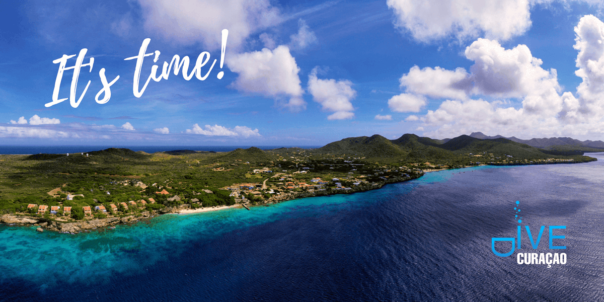 scubacuracao's tweet photo. Dive Curaçao - January 2022 Newsletter
👉 DIVE IN: https://t.co/wal1EemnCn  for the latest Curacao Dive News and Travel Specials including Dive Industry &amp; Destination spotlights! @CuracaoTravel @curacao_dive #Travel #TravelTuesday #Curacao #vacation #diving #news #scubadiving https://t.co/846CH47ria