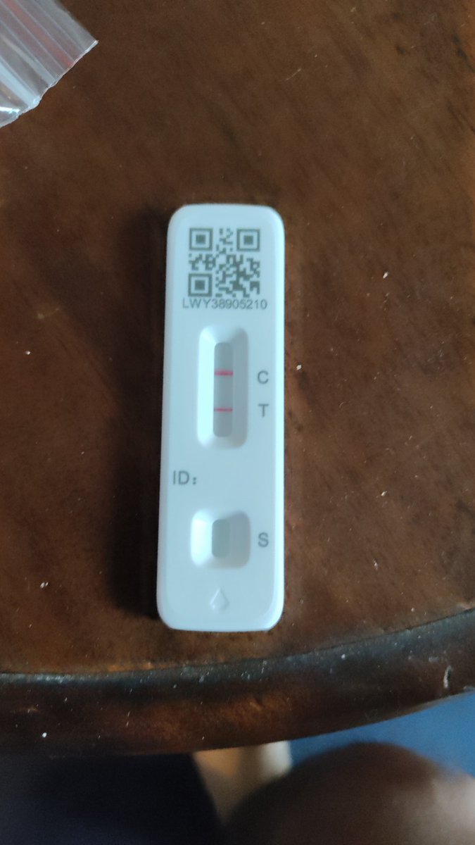 Pablo Araujo tweet media