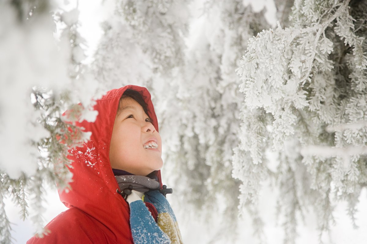 louis_riel_sd's tweet photo. With the weather warming up a bit, why not get outside and explore! ❄
Learn about life under the ice, how to build a background bird feeder and the effects of invasive species in the latest @LSF_LST #NatureGuide: https://t.co/qXZ49yo464 https://t.co/1DHxRVFX5d
