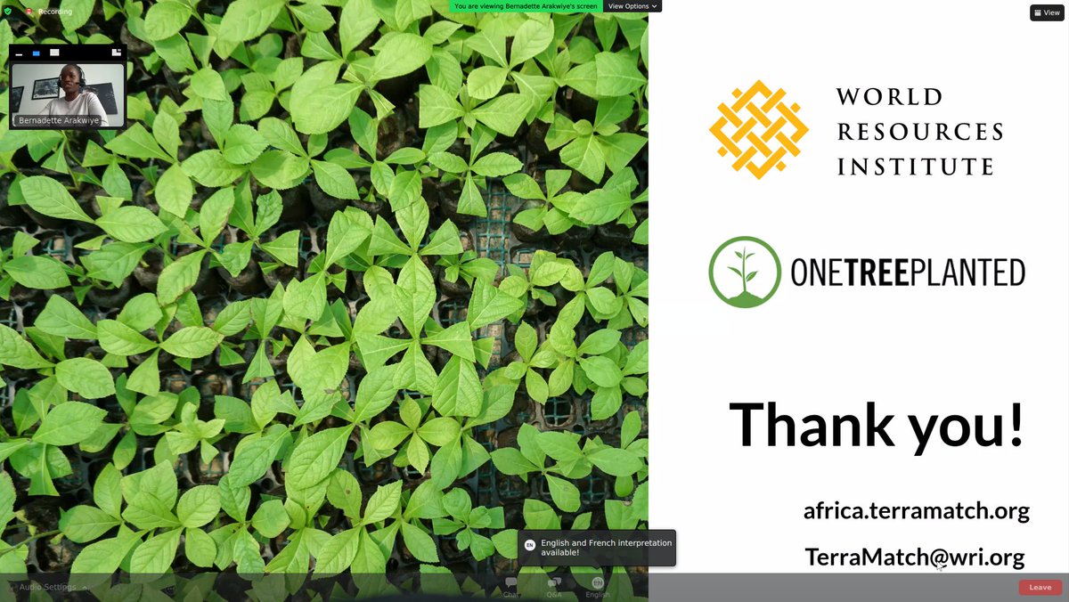 hermosa_earth's tweet photo. Just got off the very interesting "TerraFund for AFR100:
Financing Innovators That Restore Africa’s Landscapes" webinar hosted by @restoreforward and @onetreeplanted. Thank you to the organizers and speakers!
#GenerationRestoration #betterwithtrees @Afr100_Official https://t.co/Rhbim8bqFT