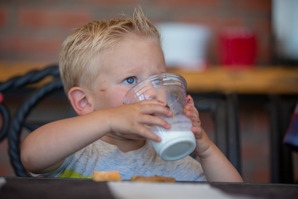 dfamilk's tweet photo. While #NationalMilkDay marks when many believe milk was first delivered in glass bottles, we raise a glass to dairy and those who make, move and manufacture it! 

We’re #DFAProud of the way our industry works cooperatively to strengthen communities, bodies and the global economy. https://t.co/B48iUM4Fbu