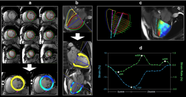Matthias Friedrich tweet media