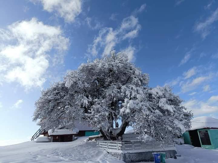 whatsupkamal's tweet photo. #bijlimahadev #himachalpardesh #IncredibleIndia #Himalayas https://t.co/BuQYgmig13