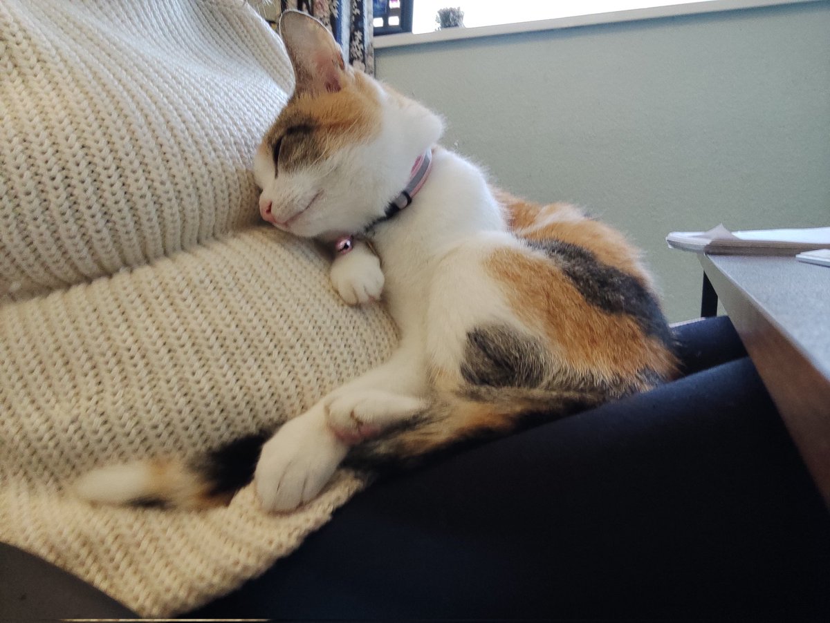 Not sure Meg will be so cuddly with baby when it's on the outside, but the cuteness here is 😍