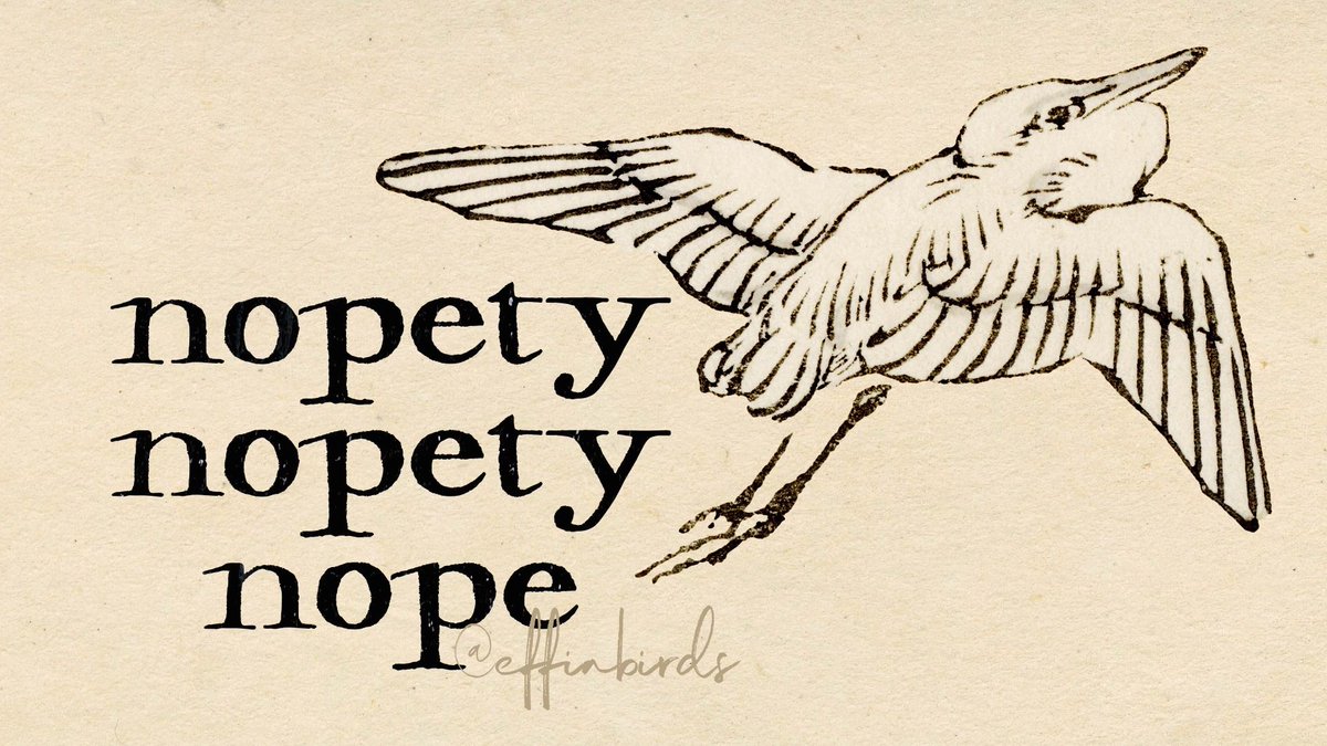 EffinBirds's tweet image. 