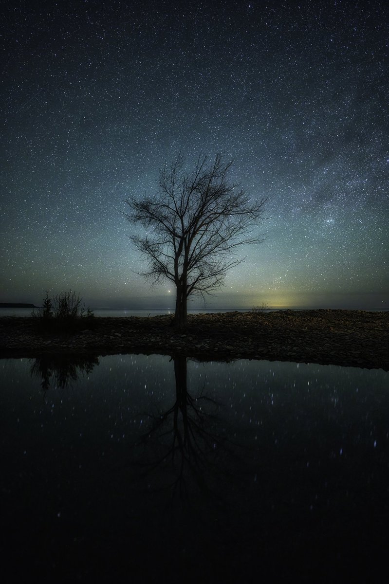 Missing those dreamy nights under the stars⭐✨🌠

#astro
#Astrophotography #nikon