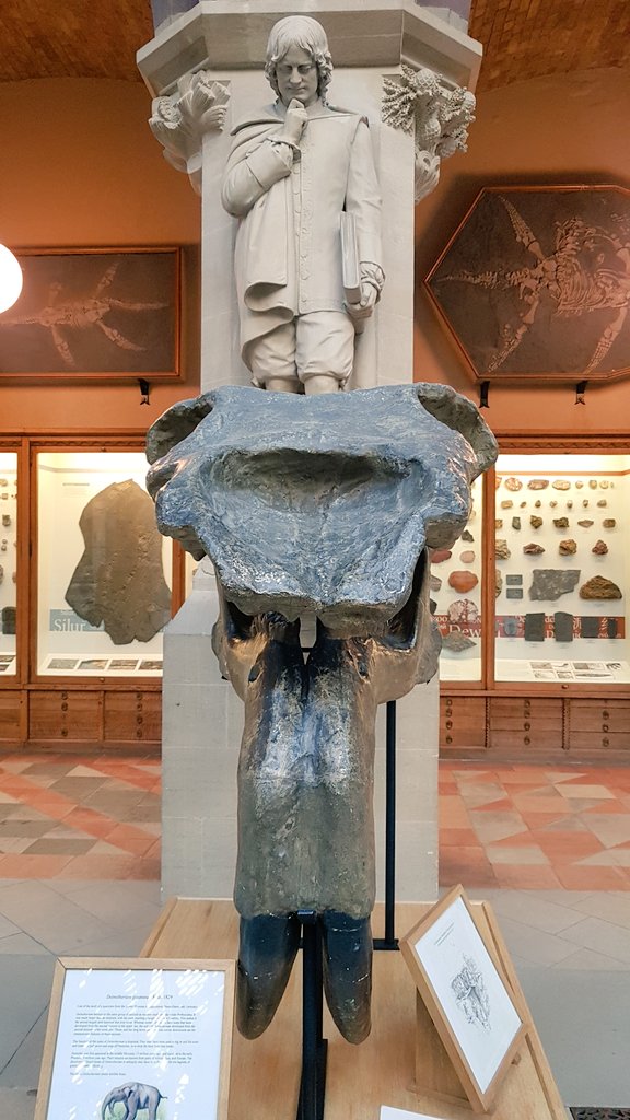Gopalsinghpunia's tweet photo. It was a wonderful afternoon at Oxford University Museum of Natural History befriending some DEVIANTS !
#EternalsSprite
#Eternals #Throwback
#Sep2018 #Oxford
#UnitedKingdom https://t.co/aMdX0Cw6li