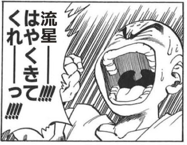 そういえば天山が☆MAXだった 