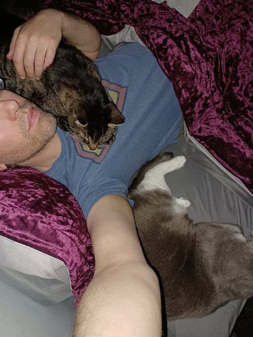 I have been covered in cuddles :3 https://t.co/mq6qhjCNFI