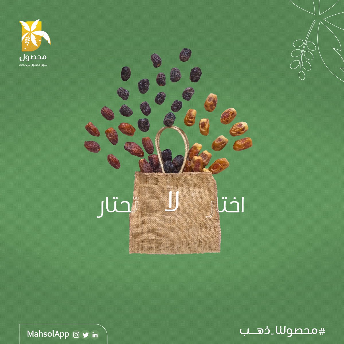 MahsolApp's tweet photo. اختار ولا تحتار ،، 
كل أنواع التمور متوفرة الآن على منصة محصول 😍🌴 https://t.co/e3URqkE2S0