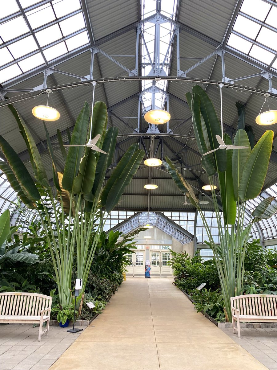 Garfield Park Conservatory tweet media