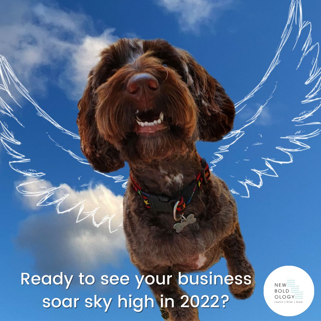 If the #NewYear has made you focus on your #businessplans and feeling that you need some #support, we can help - just DM us!
#SmallBusinessSussex
#mentoring 
#BusinessStrategy