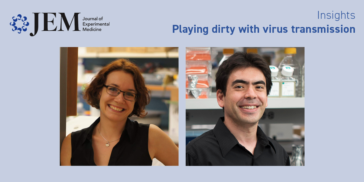 Journal of Experimental Medicine (@jexpmed) on Twitter photo Playing dirty with virus transmission. <a href="/ChristinHerrma1/">Christin Herrmann</a> and <a href="/CadwellLab/">Cadwell Lab</a> highlight study (bit.ly/3sYrE5P) by <a href="/lizfay20/">Liz Fay</a>,<a href="/keirballa/">Keir Balla</a>, <a href="/ShanleyRoach/">Shanley “Stan” Roach</a>, @AFranOfScience, <a href="/LangloisLab/">Ryan Langlois</a> and colleagues. bit.ly/3FURife
#InfectiousDisease #HostDefense Playing dirty with virus transmission. <a href="/ChristinHerrma1/">Christin Herrmann</a> and <a href="/CadwellLab/">Cadwell Lab</a> highlight study (bit.ly/3sYrE5P) by <a href="/lizfay20/">Liz Fay</a>,<a href="/keirballa/">Keir Balla</a>, <a href="/ShanleyRoach/">Shanley “Stan” Roach</a>, @AFranOfScience, <a href="/LangloisLab/">Ryan Langlois</a> and colleagues. bit.ly/3FURife
#InfectiousDisease #HostDefense