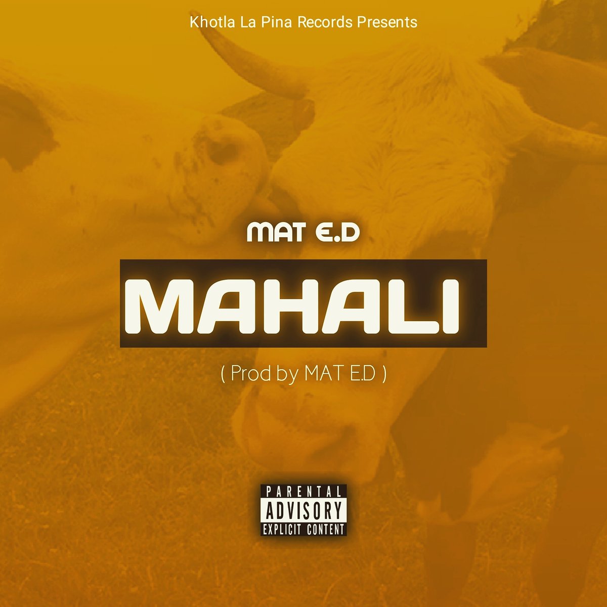 MATEDLS1's tweet image. Download link : dokofala.co.za/downloads/d/ma…